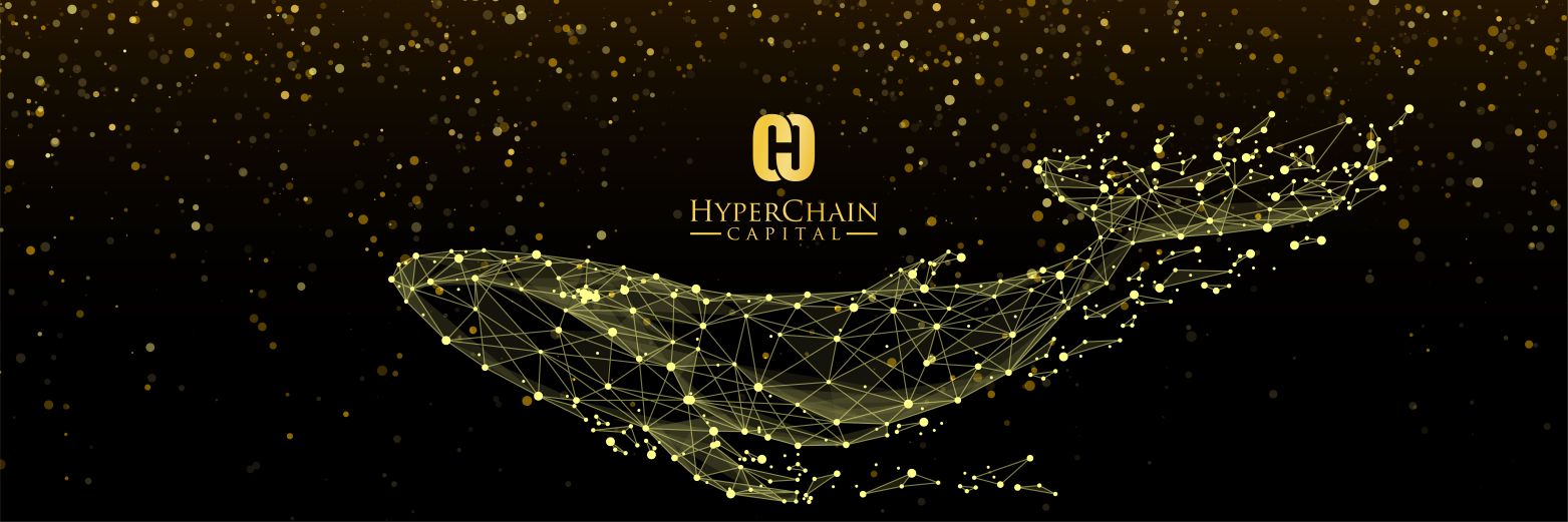 Stelian Balta banner