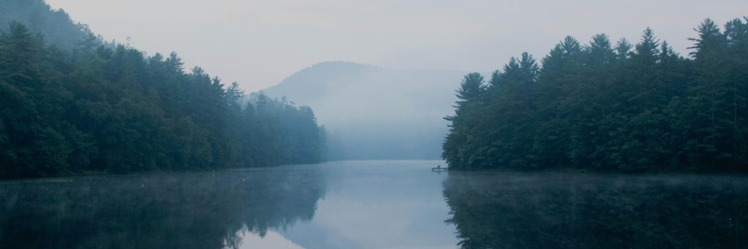 maddiedavis11's profile banner image