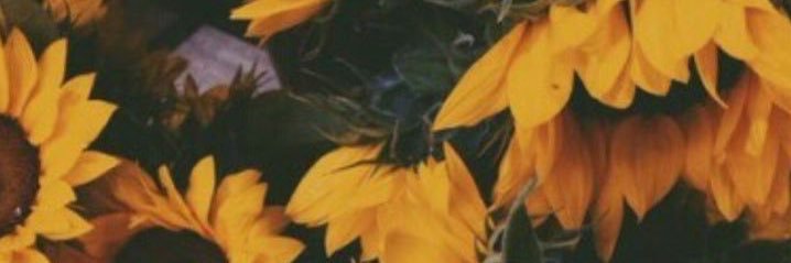 __Keiisha's profile banner image