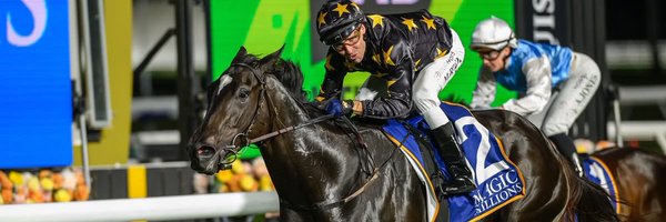 RacingShailer Profile Banner