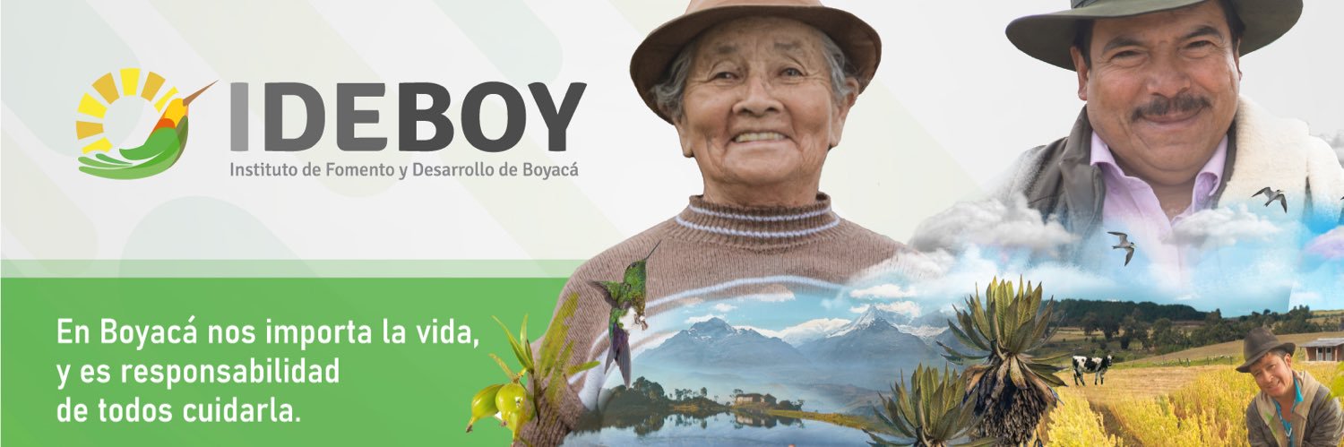 Ideboy banner