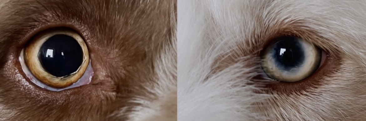 jodiemogz's profile banner image