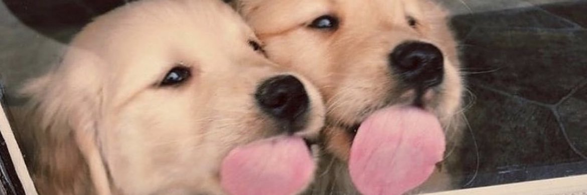 Maley Tinstman banner