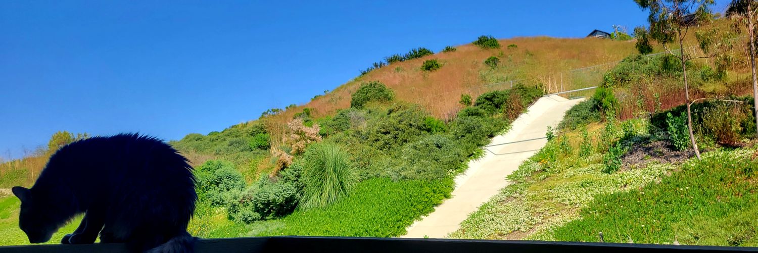 NotJustinRess banner