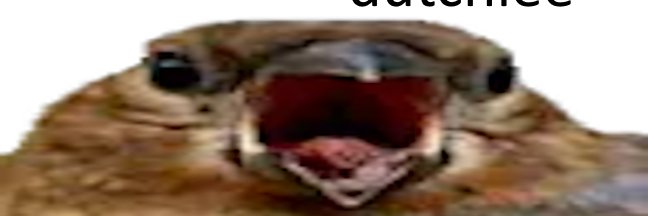 dutchiee_'s profile banner image