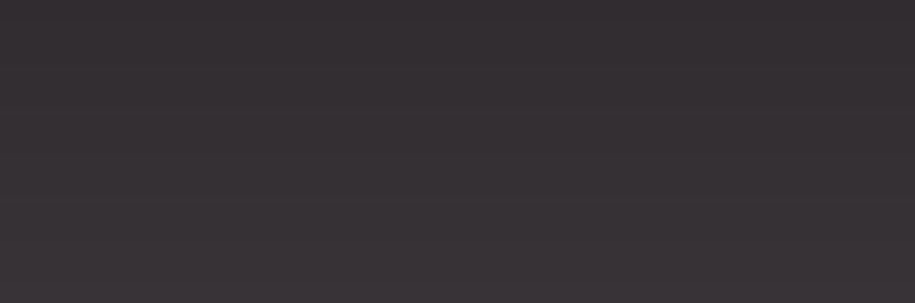 vvvv banner