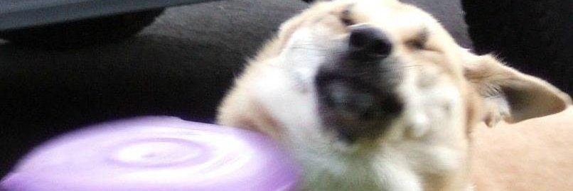 emoemi666's profile banner image