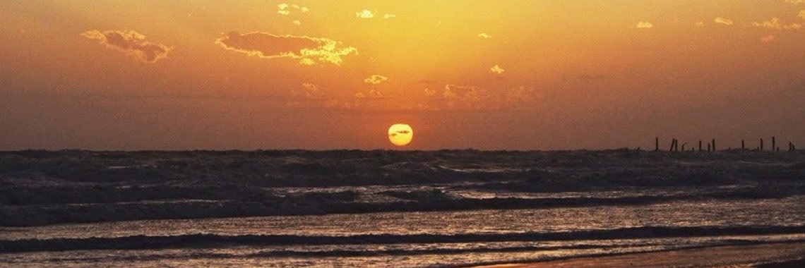 lln3_'s profile banner image