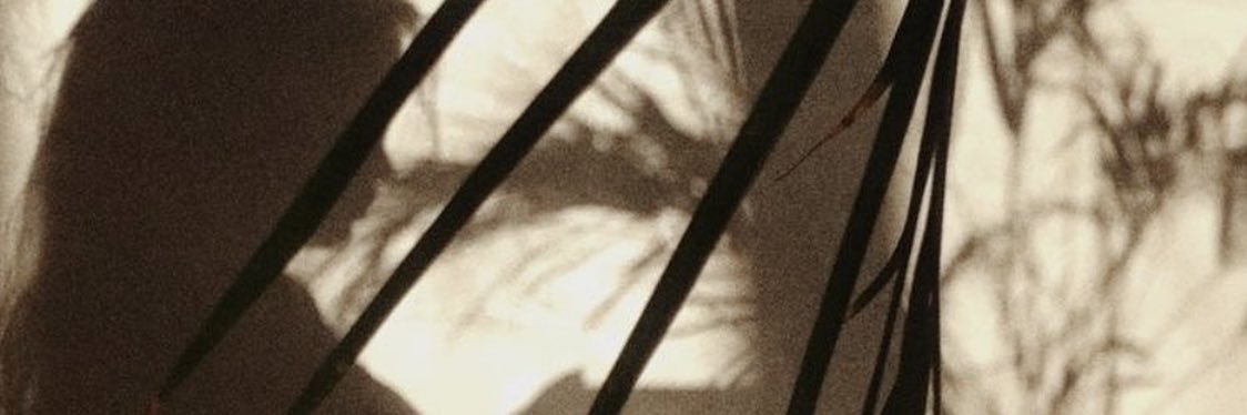 LyliGypsy's profile banner image