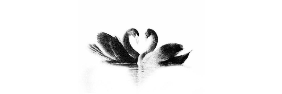 elle banner