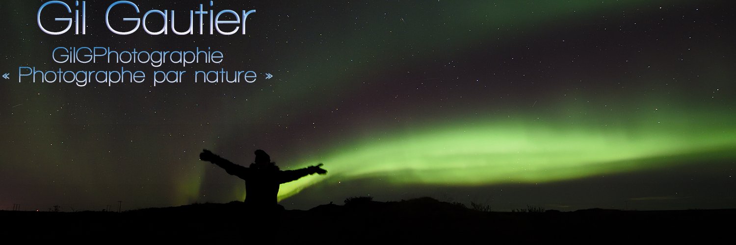 GilGPhoto's profile banner image