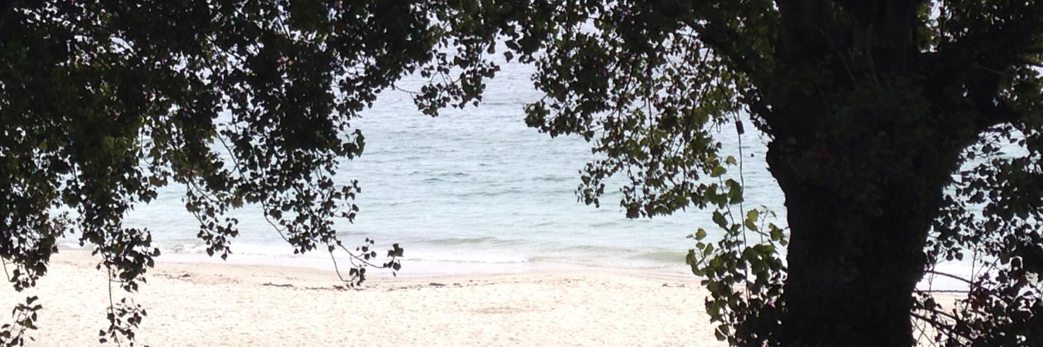 ly_tp's profile banner image