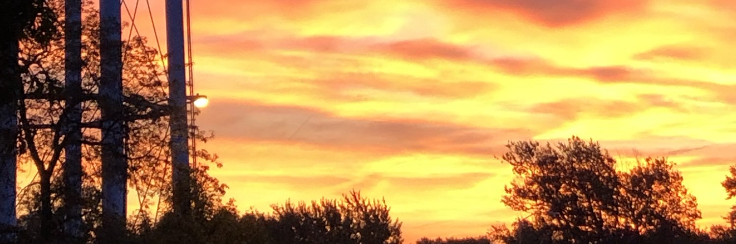 Ashley Digmann banner