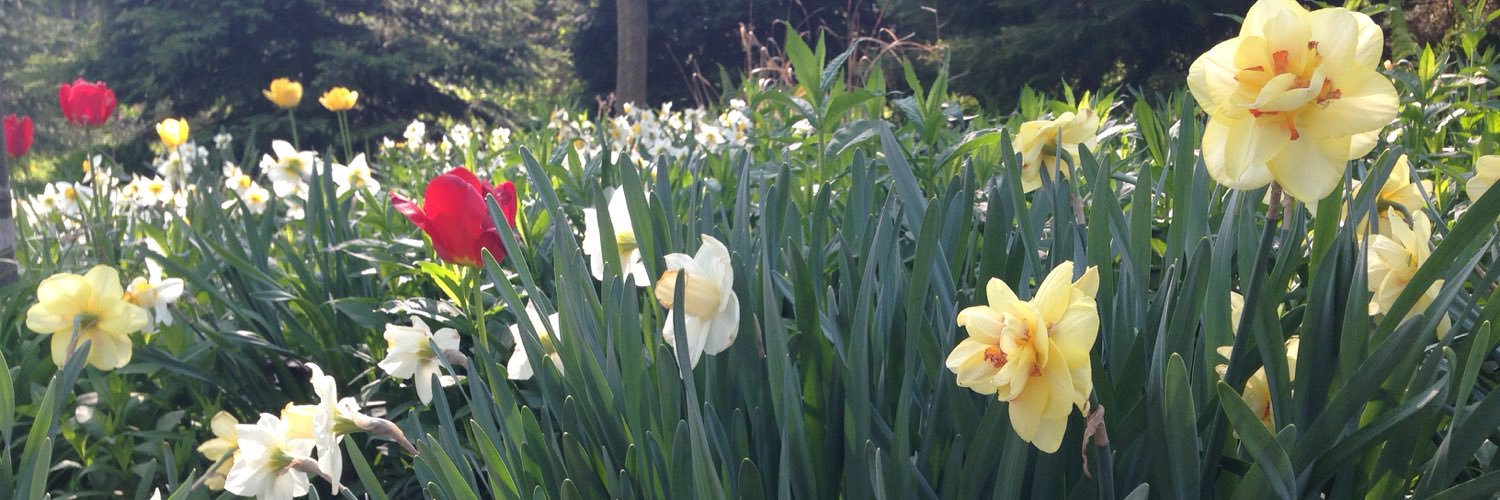 Jen_Arnold's profile banner image