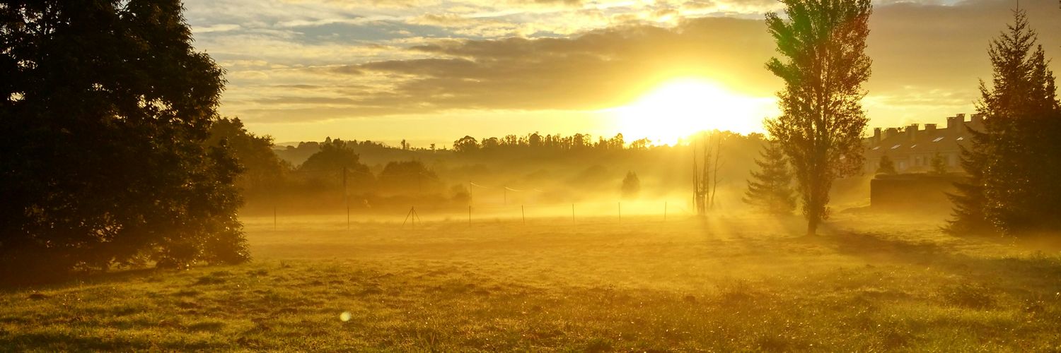 javsterix's profile banner image
