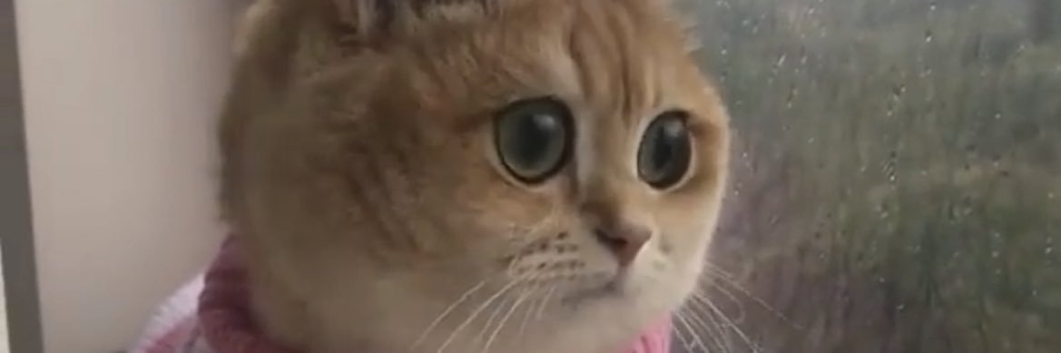 jredigest's profile banner image