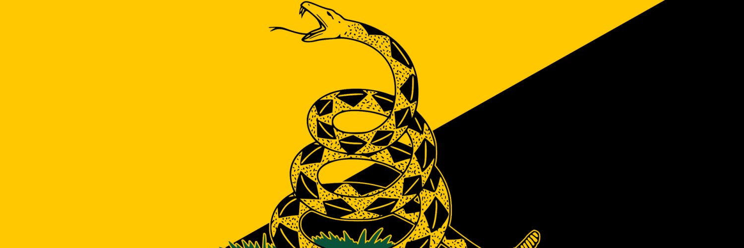 Ray C. Gardner 🏴 banner