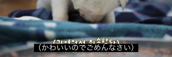 2fZu6 Profile Banner