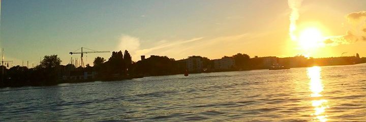 Jurjen van den Bergh | jurjenvdb.bsky.social banner