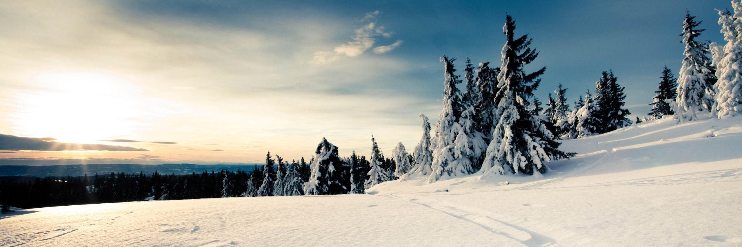 VanMever's profile banner image