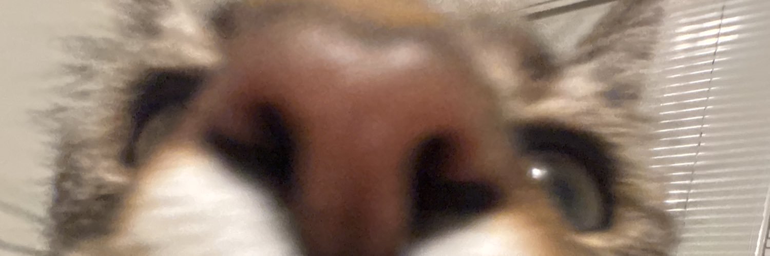 kfcatt's profile banner image