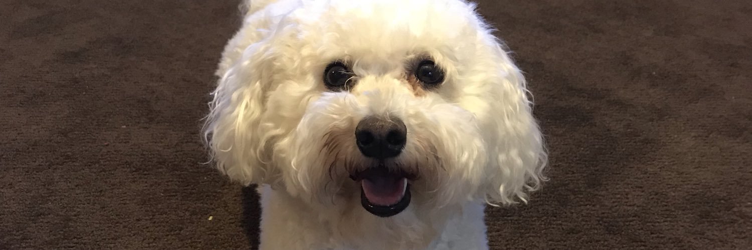 Craig Cabello banner