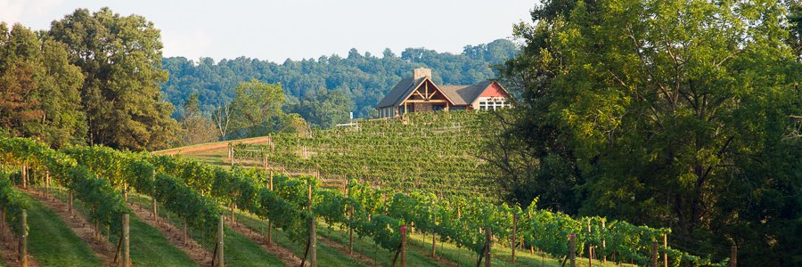 AddisonFarms's profile banner image
