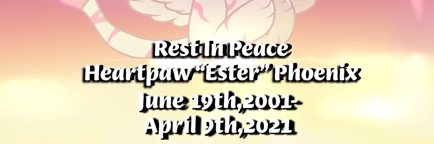 TravisGA/Burnett Stone banner