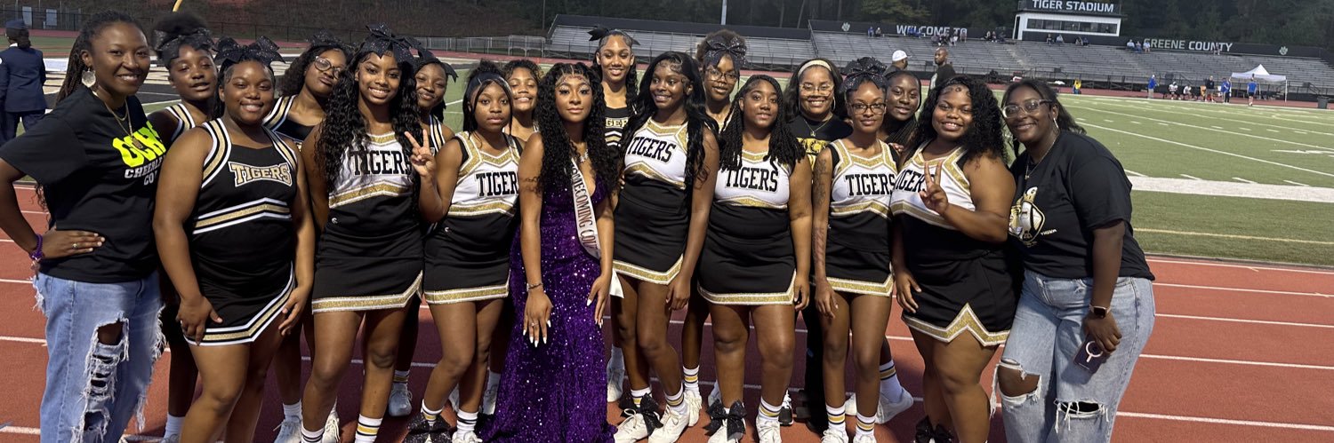 Lady Tigers Cheer banner