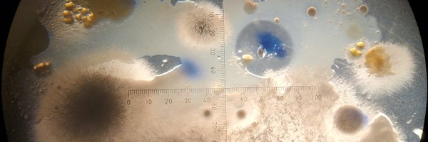 DMW_Microbiome Profile Banner