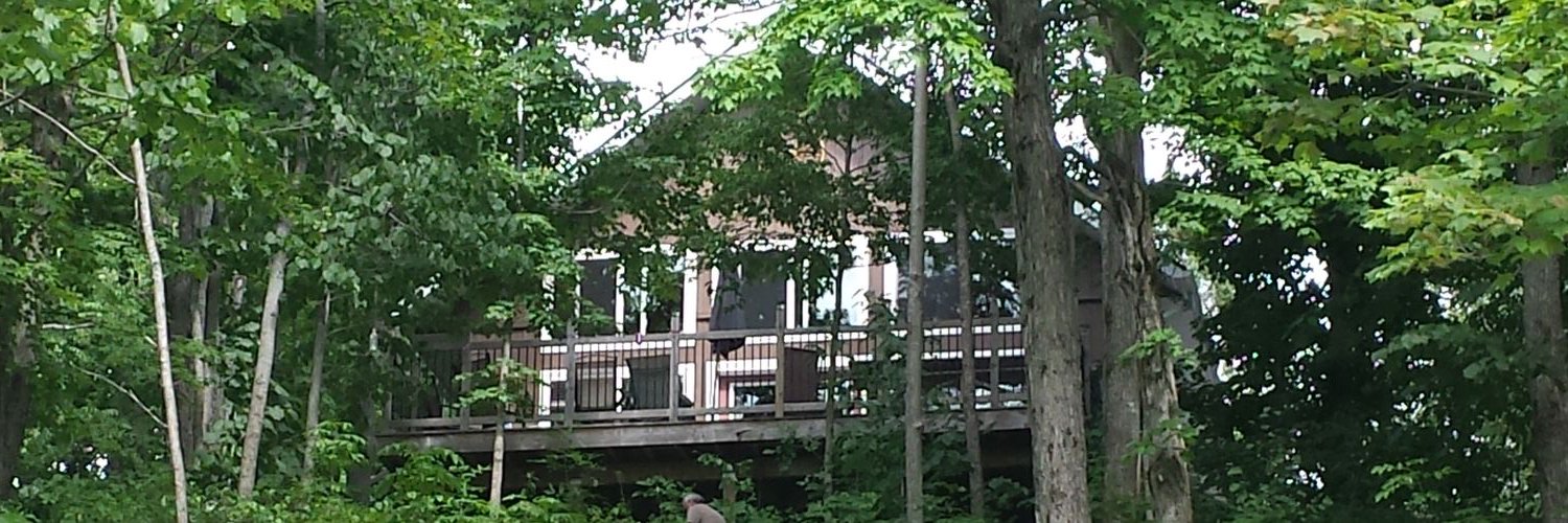 joannetomkin's profile banner image