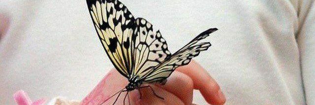 لمياء العنزي💫 banner