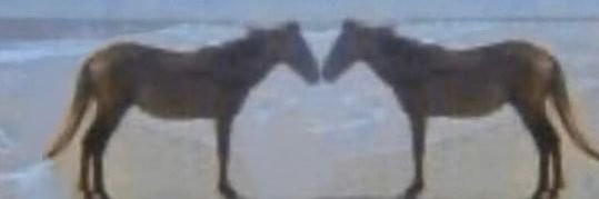 Jipjip's banner
