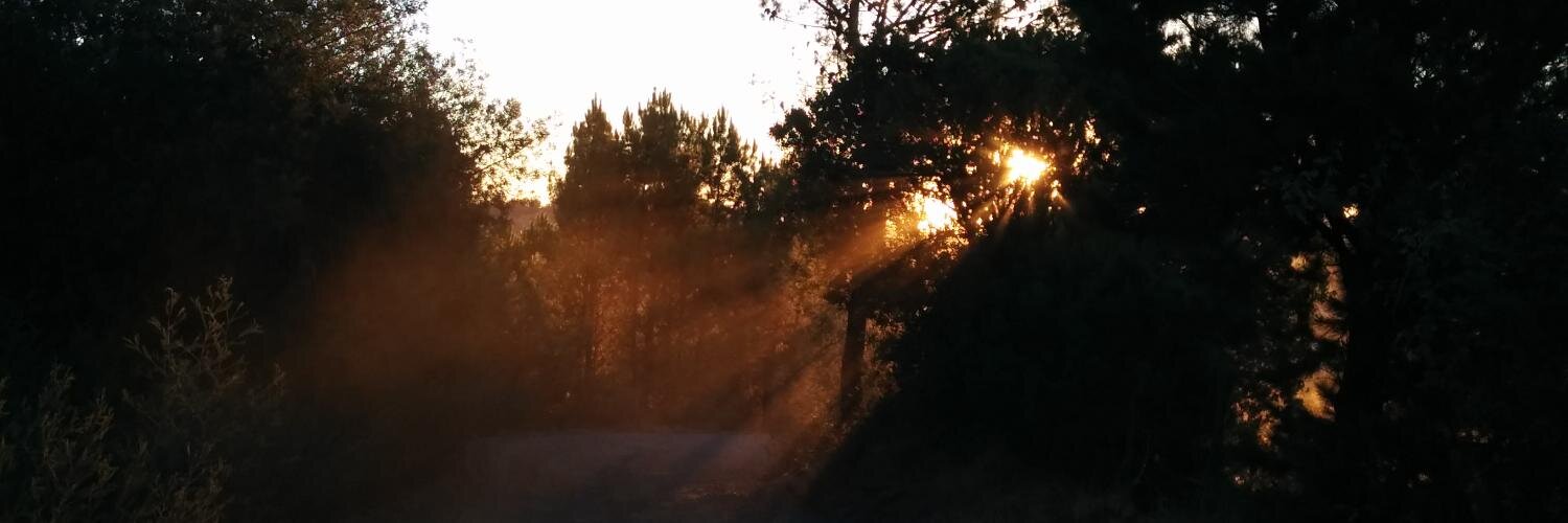 avillagran's profile banner image