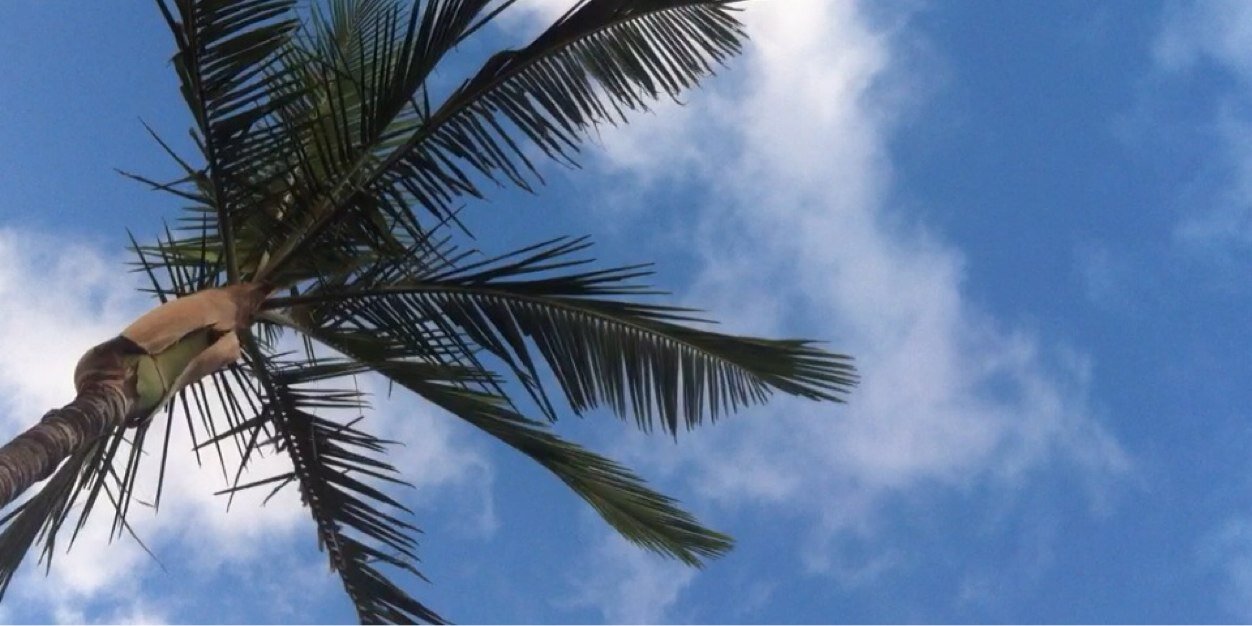 _ruhv's profile banner image