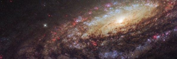 mwbv824 Profile Banner