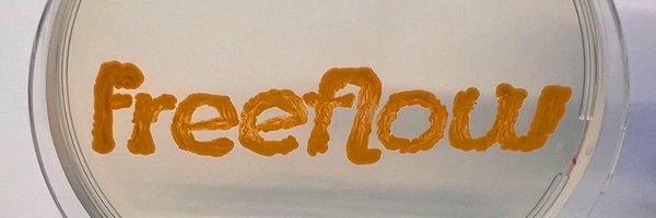 davidericfleck Profile Banner