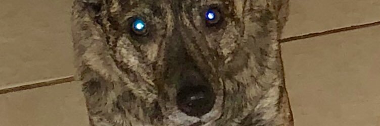 charisma75's profile banner image