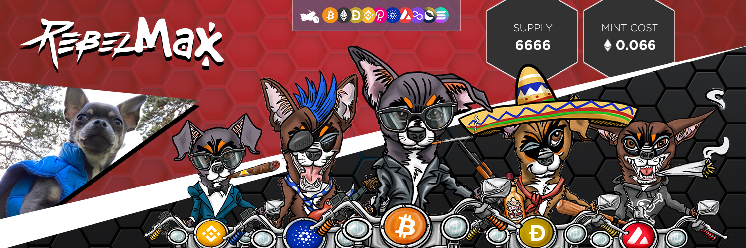 Rebel Max ☠️ banner