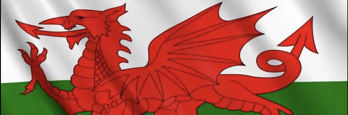 🏴󠁧󠁢󠁷󠁬󠁳󠁿SirMichaelOfWales🏴󠁧󠁢󠁷󠁬󠁳󠁿 banner