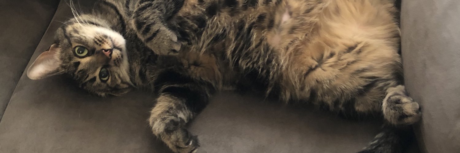Mariaaahbeee's profile banner image