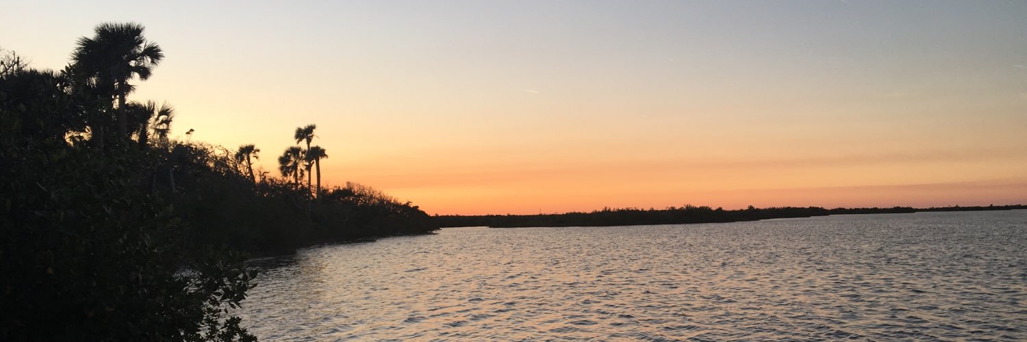 DualWadz's profile banner image