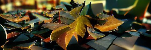 ex_pintor Profile Banner