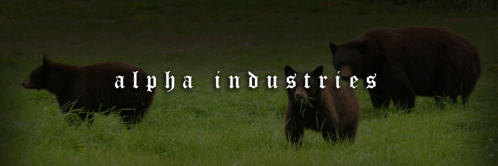 Discordbear A.I banner