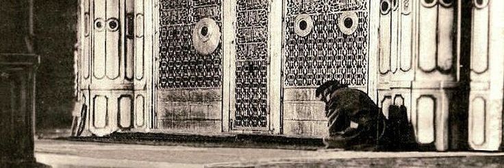 Muhammed Mahmud Yıldız banner