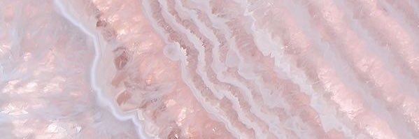 giannafante's profile banner image