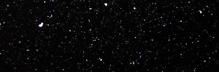 🦋 banner