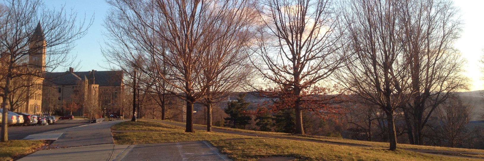 Cornell Free Speech Alliance banner