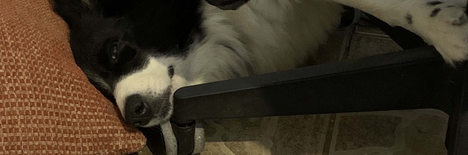 Izamatheusr's profile banner image