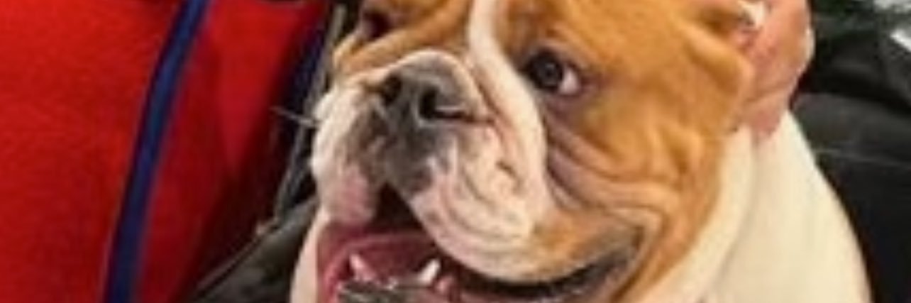 ERICKGGG's profile banner image